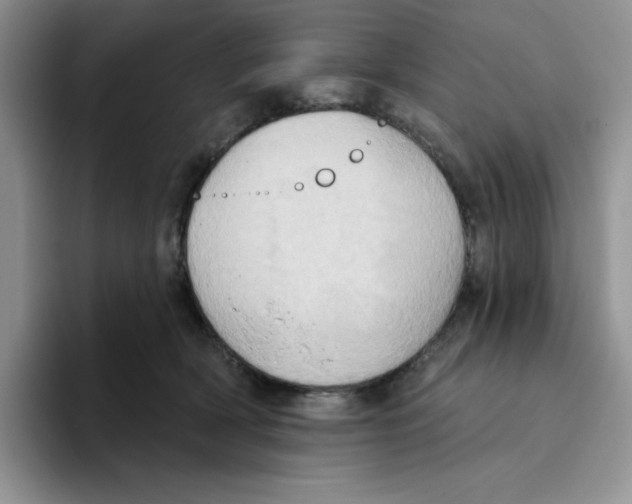 X0000093520418200711091743