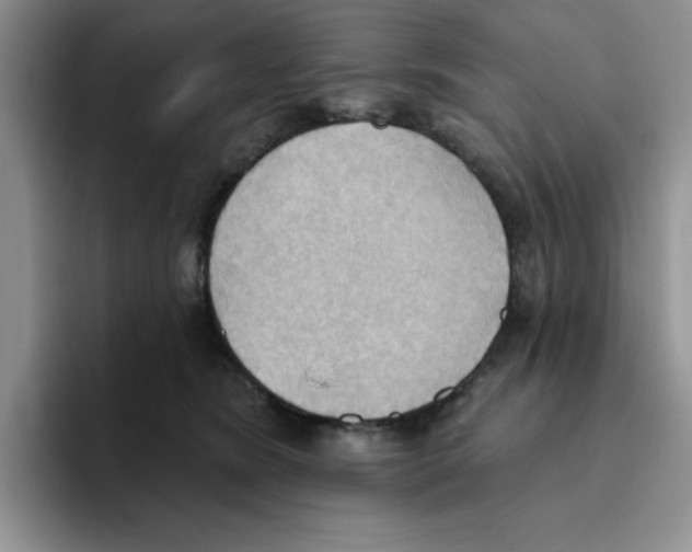 X0000093520420200711091743