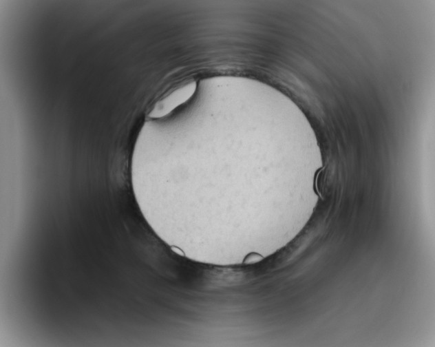 X0000093520421200711091743