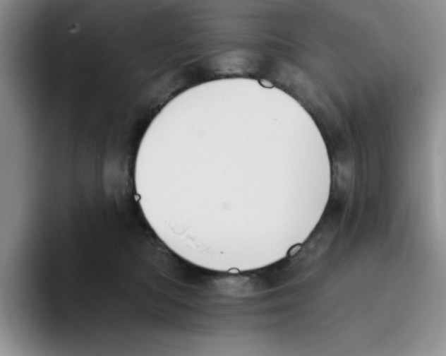 X0000093520422200711091743