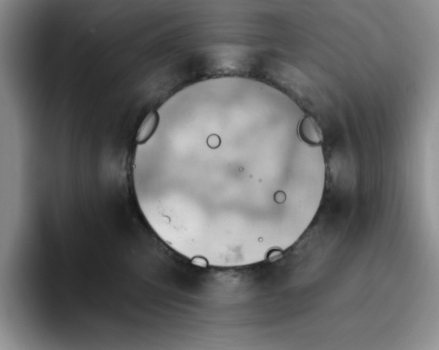 X0000093520423200711091743