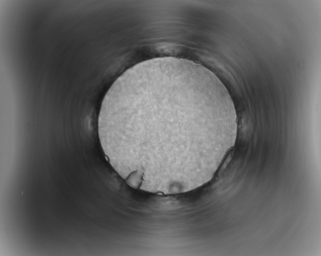 X0000093520424200711091743