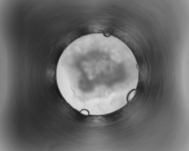 X0000093520427200711091743