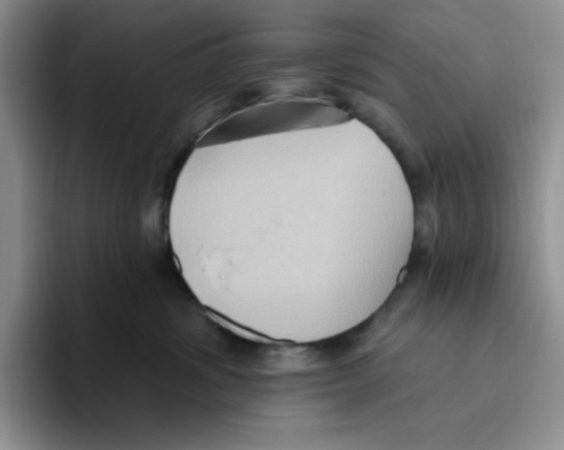 X0000093520428200711091743