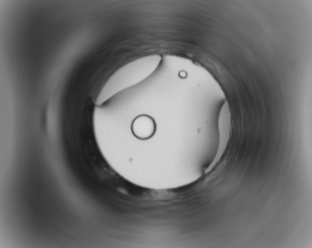 X0000093520429200711091743