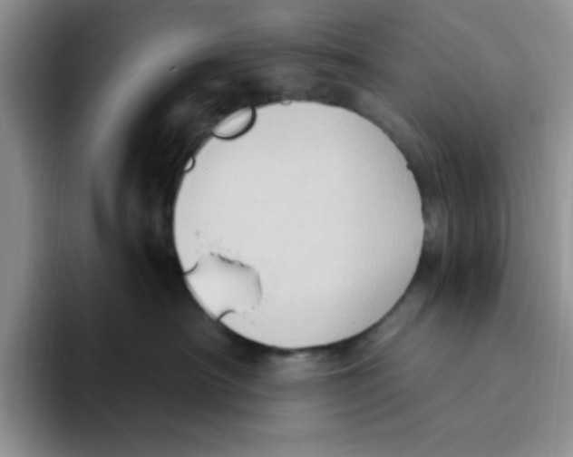 X0000093520430200711091743