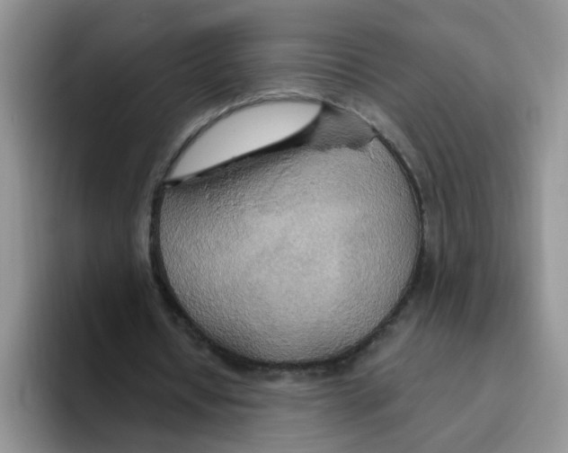 X0000093520434200711091742