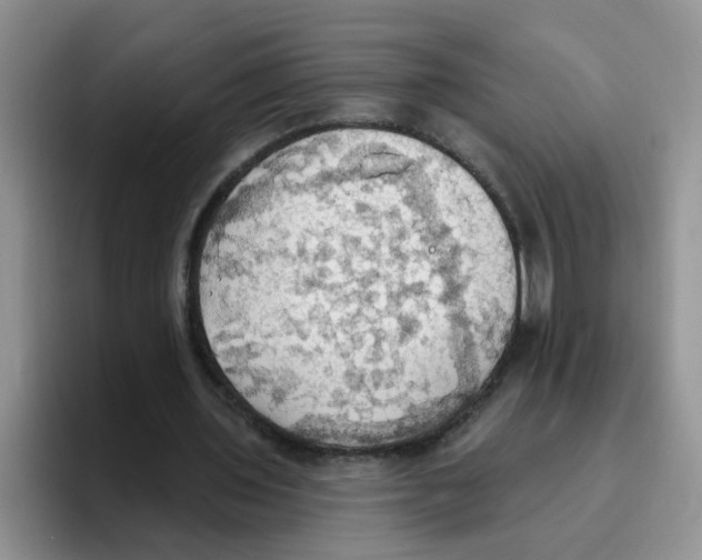 X0000093520435200711091742