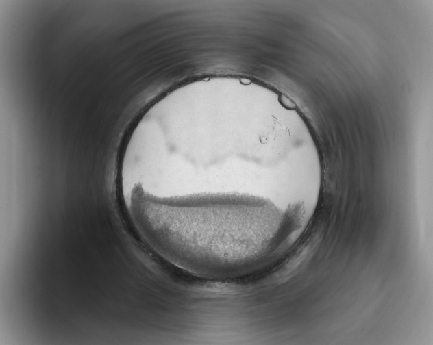 X0000093520437200711091742