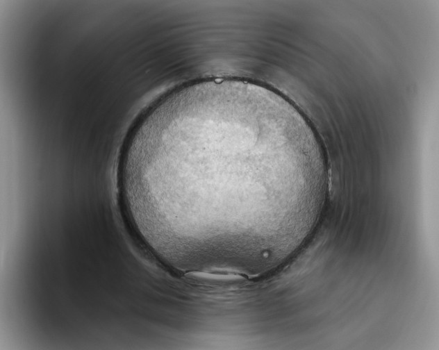 X0000093520438200711091742