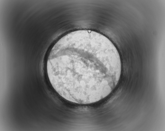 X0000093520439200711091742