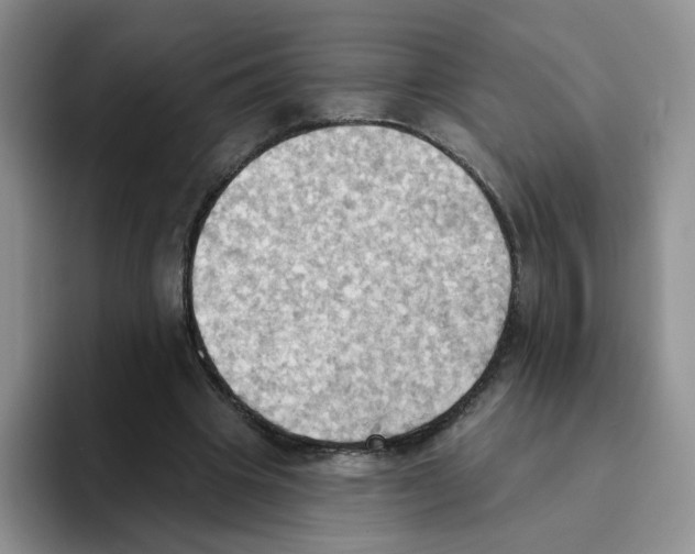 X0000093520441200711091742