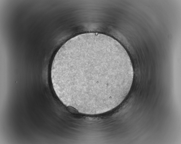 X0000093520442200711091742