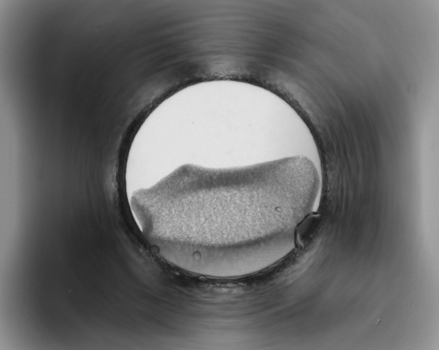 X0000093520443200711091742