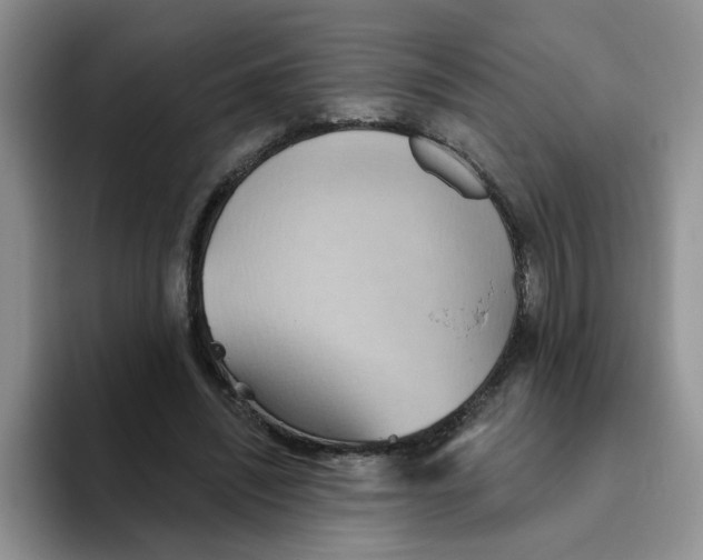 X0000093520444200711091742