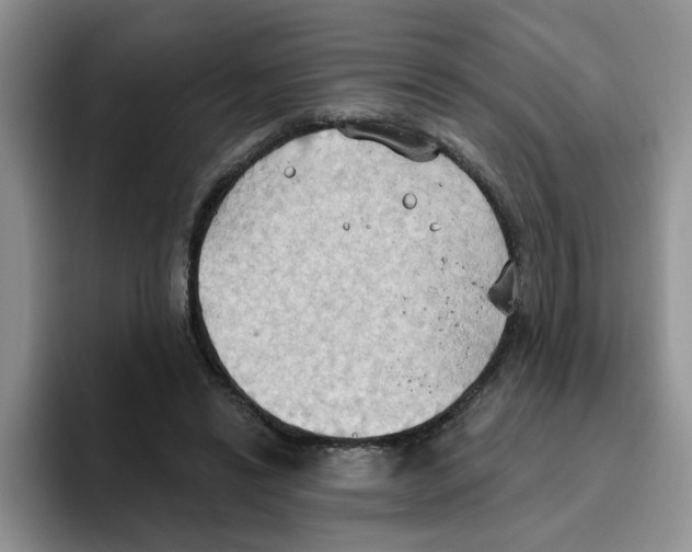 X0000093520446200711091742