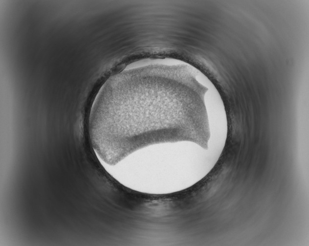 X0000093520447200711091742