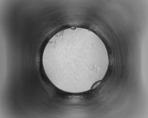 X0000093520448200711091742