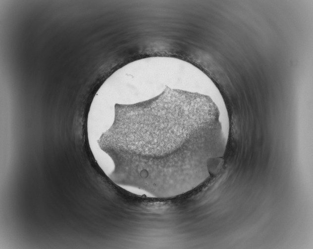 X0000093520449200711091742