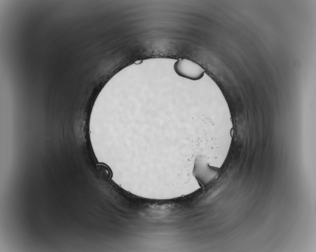 X0000093520450200711091742