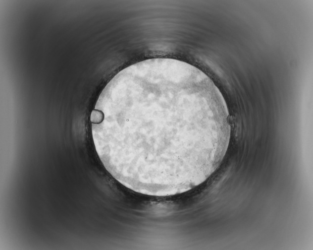 X0000093520455200711091742