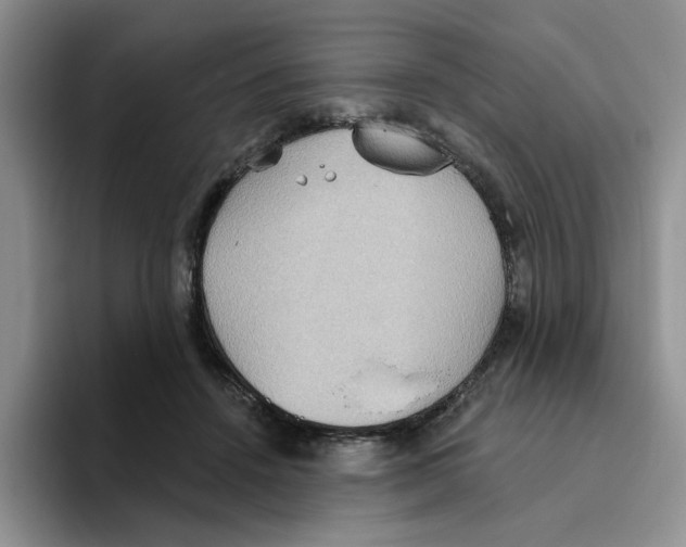 X0000093520456200711091742