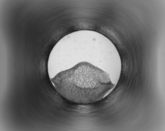 X0000093520457200711091742