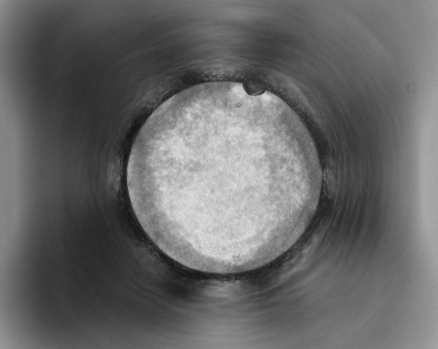 X0000093520458200711091742