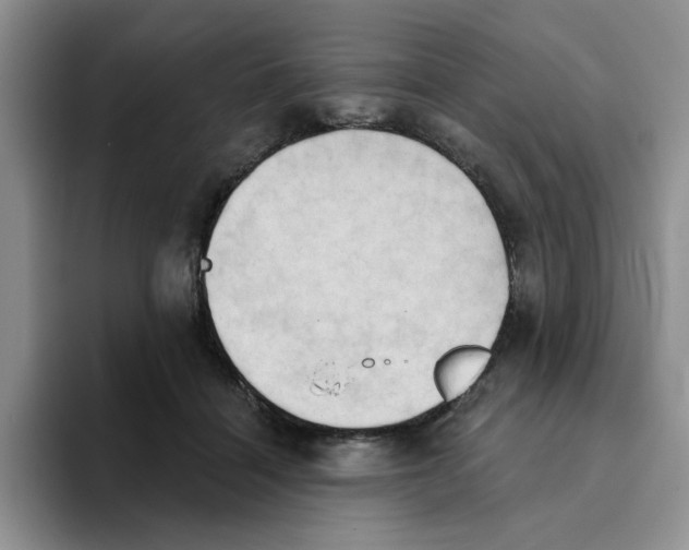 X0000093520460200711091742