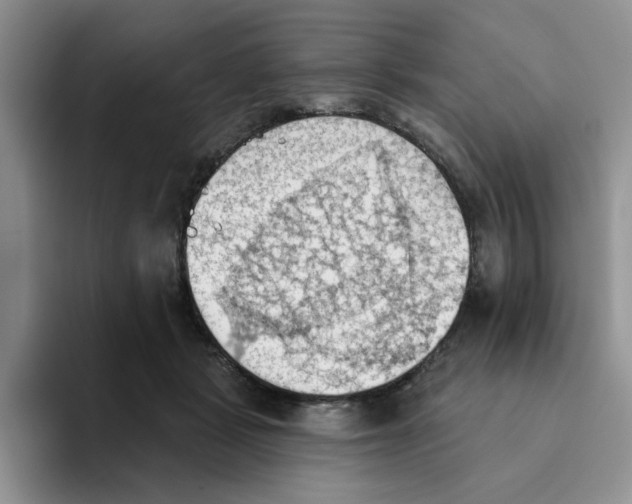 X0000093520461200711091742