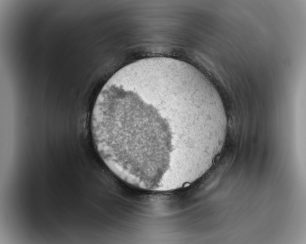 X0000093520462200711091742