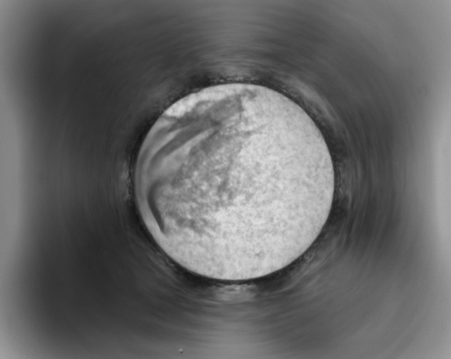 X0000093520465200711091742