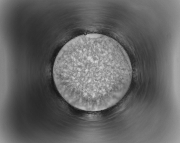 X0000093520466200711091742