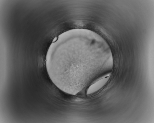 X0000093520467200711091742