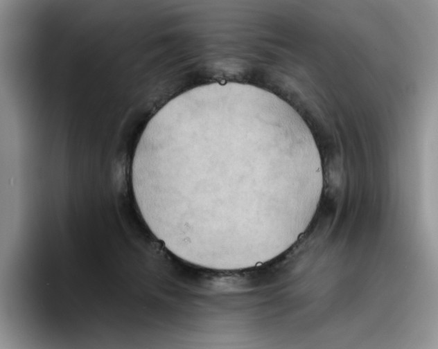 X0000093520468200711091742