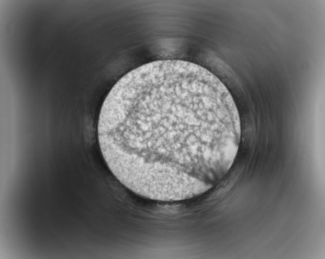 X0000093520469200711091742