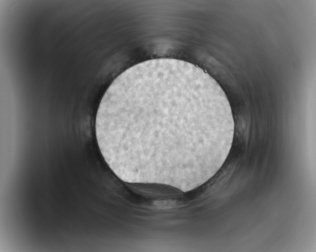 X0000093520470200711091742