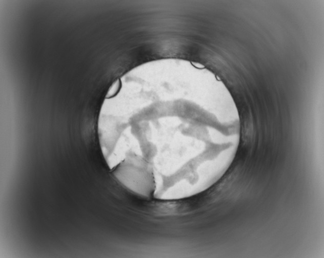 X0000093520473200711091743