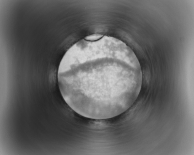 X0000093520475200711091743