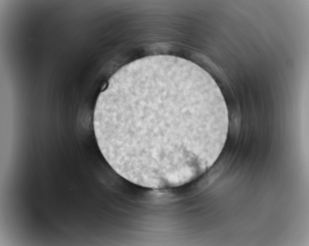 X0000093520477200711091743