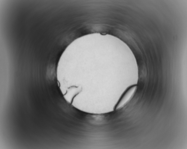 X0000093520478200711091743