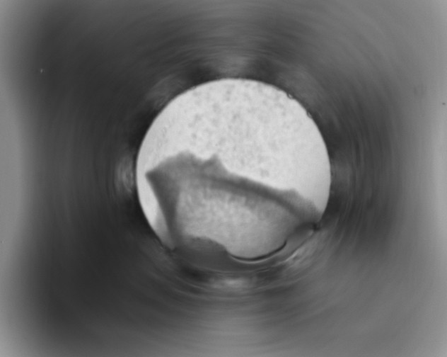 X0000093520479200711091743