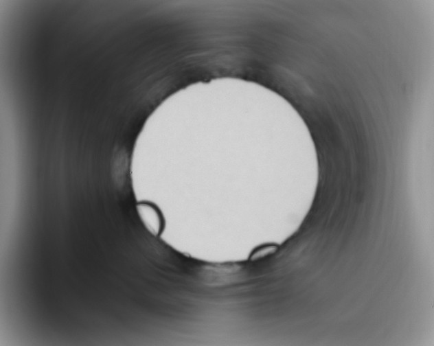 X0000093520480200711091743