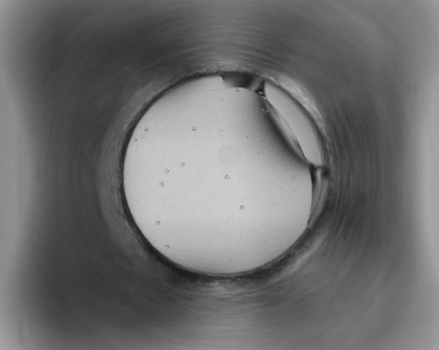 X0000093520481200711091742