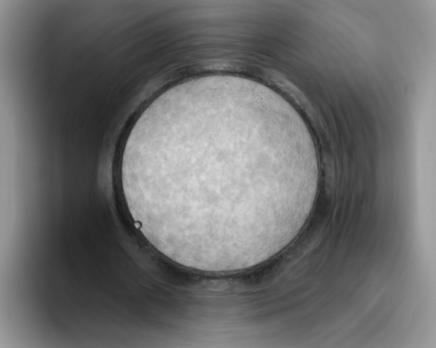 X0000093520482200711091742