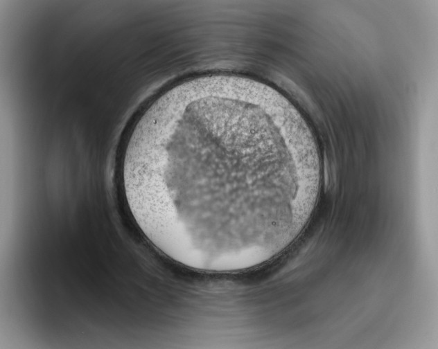 X0000093520483200711091742