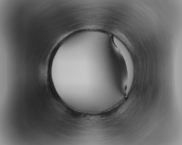 X0000093520484200711091742