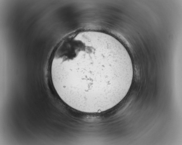 X0000093520487200711091742