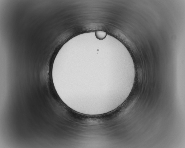 X0000093520490200711091742