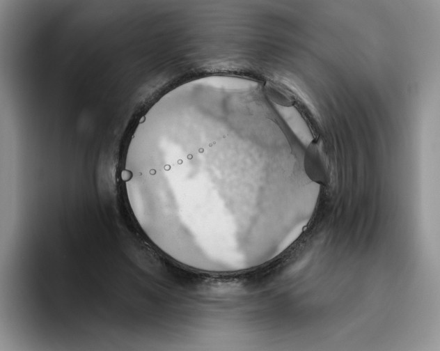 X0000093520491200711091742